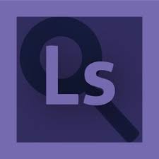 LipidSearch