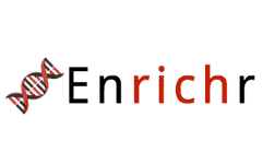 enrichR